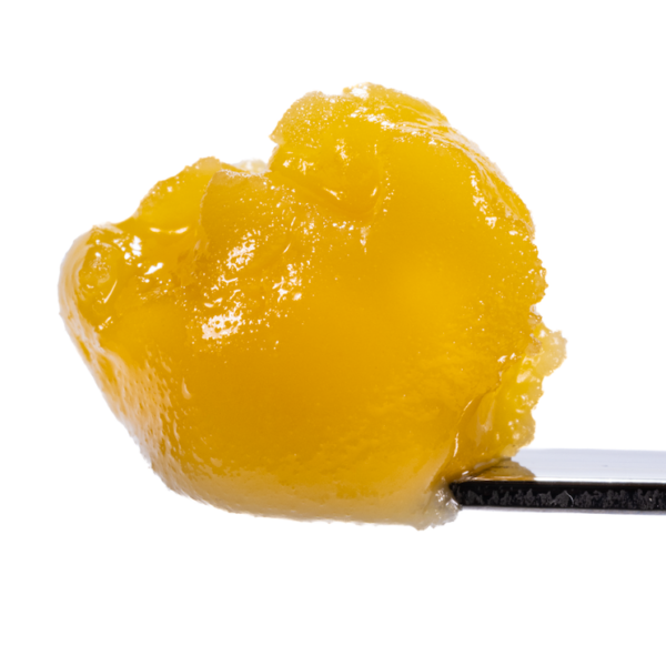Forbidden Haze